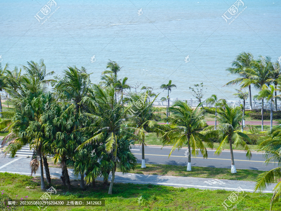 夏日海边