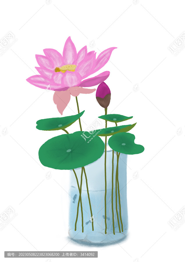 原創(chuàng)插畫素材荷花