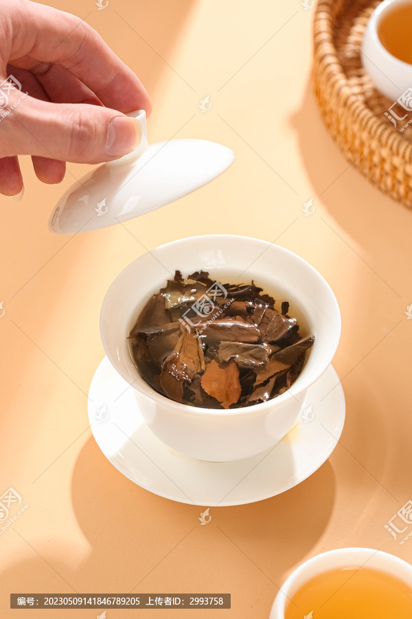 福鼎白茶小茶饼冲泡茶汤