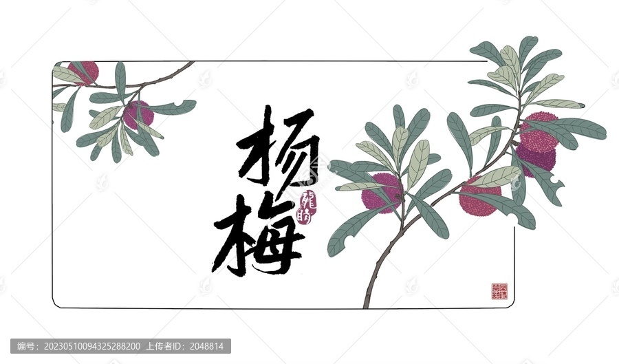 楊梅