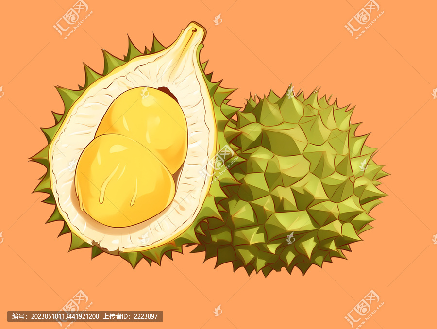 榴蓮插畫