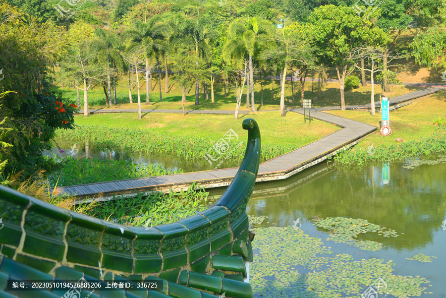 深圳中心公园景观湖水景