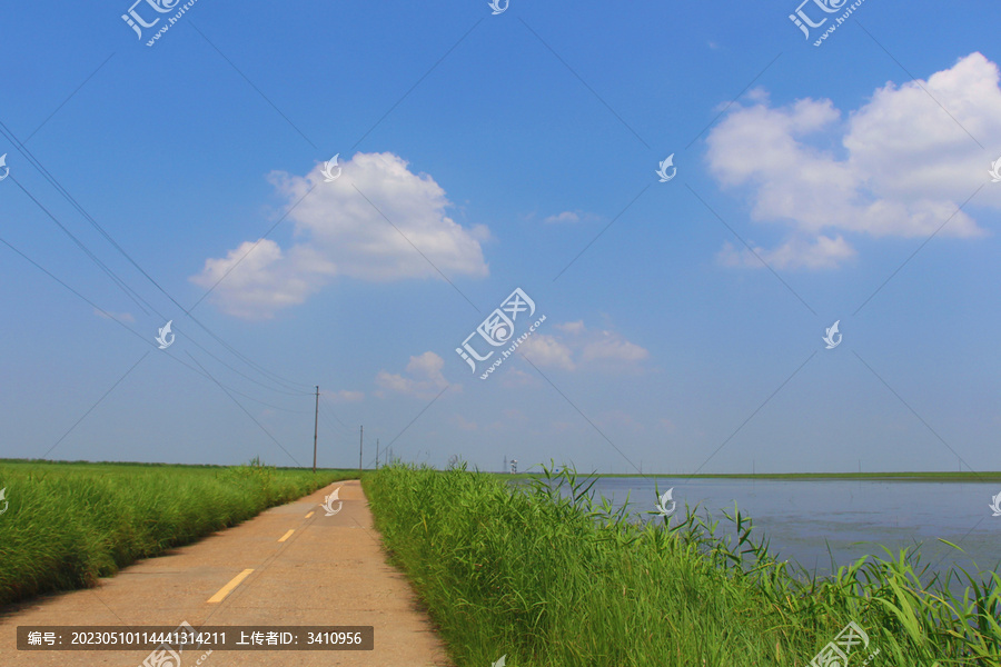 南昌南矶山自然保护区湿地风光