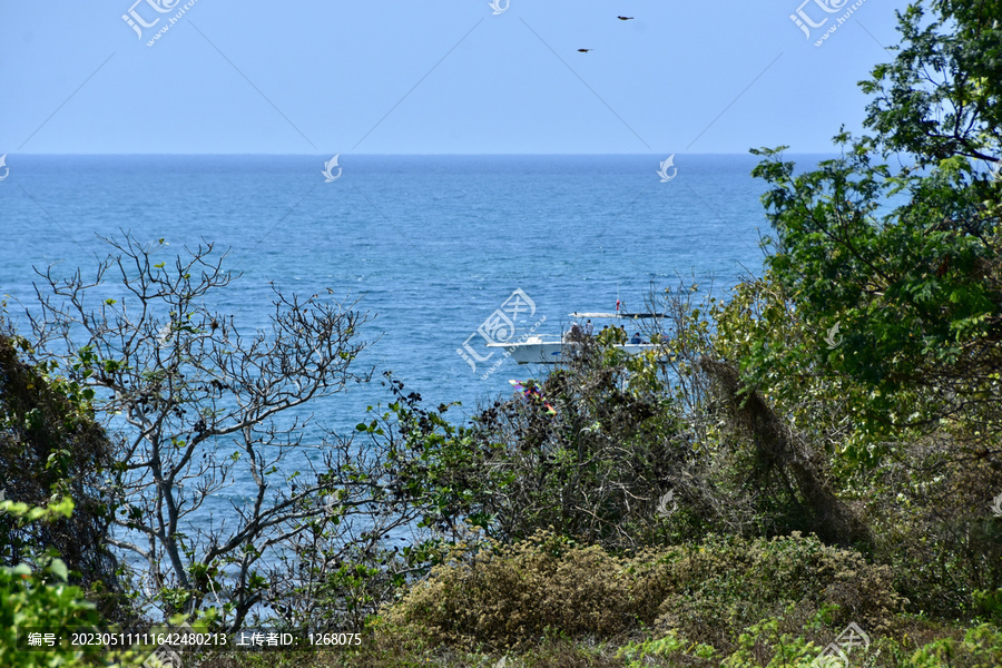 海滩热带海滨海南岛海岸三亚