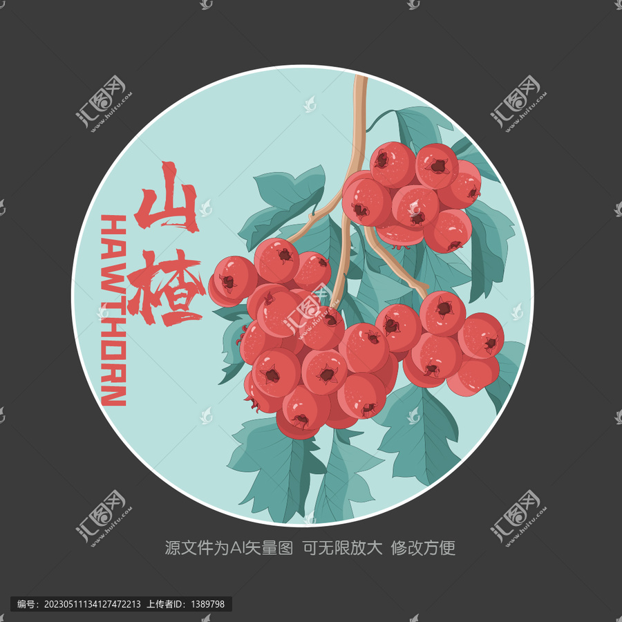 手繪山楂
