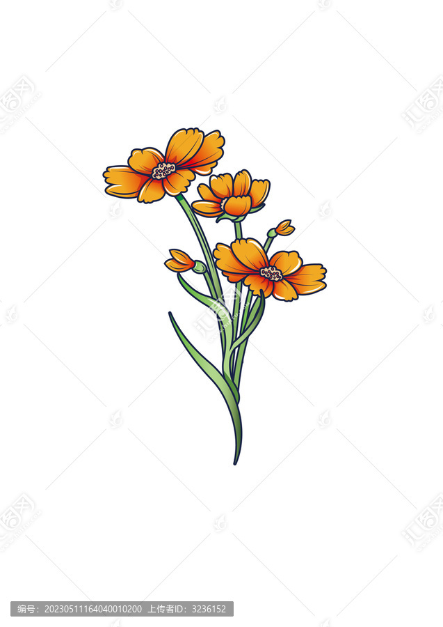 手繪植物花朵矢量插畫(huà)