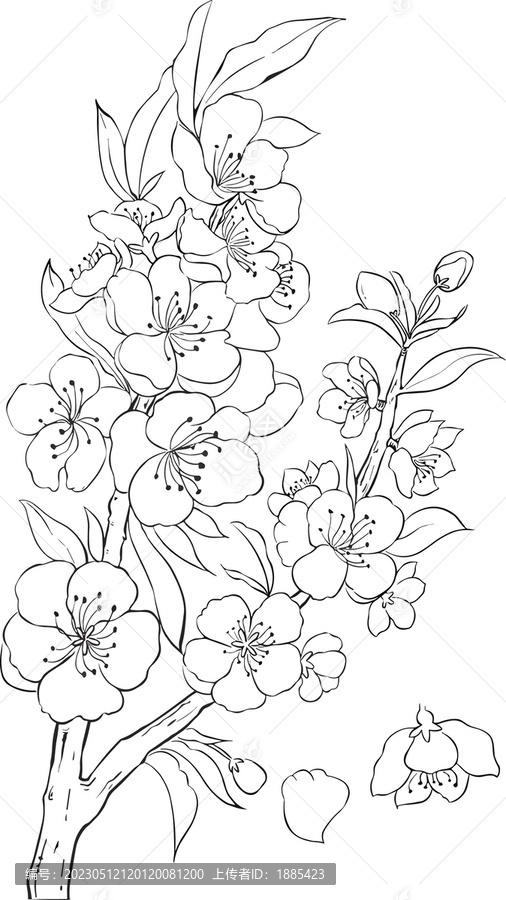 桃花白描花卉古風(fēng)素材