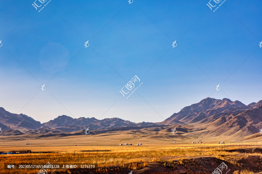 新疆秋季草原蒙古包风光