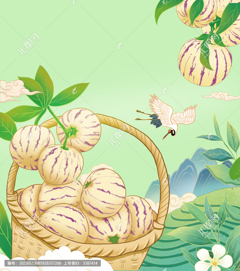 云南特產(chǎn)人參果手繪插畫