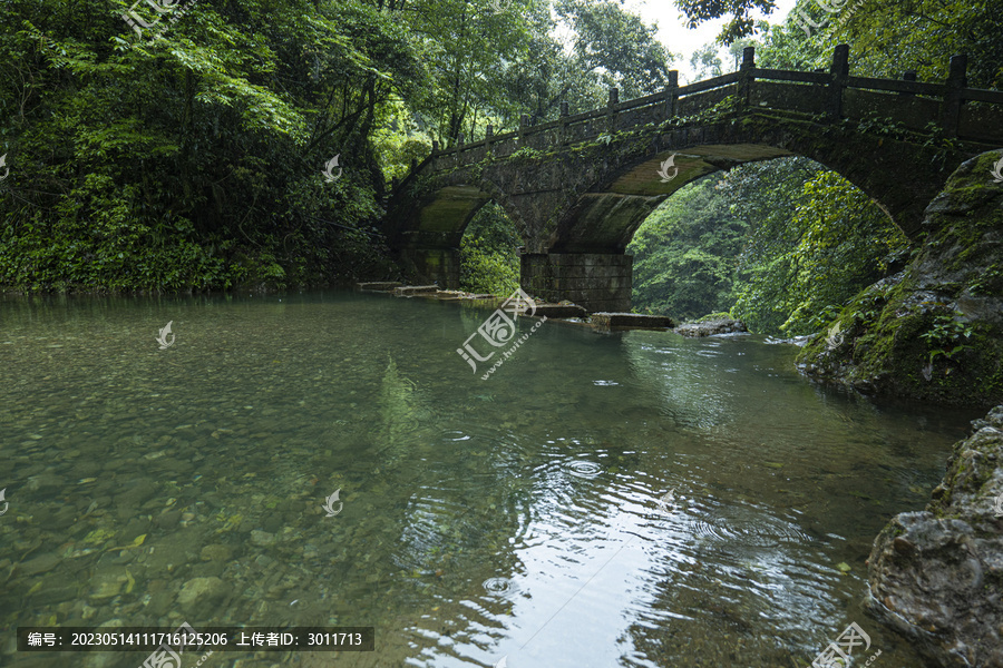 青城山森林