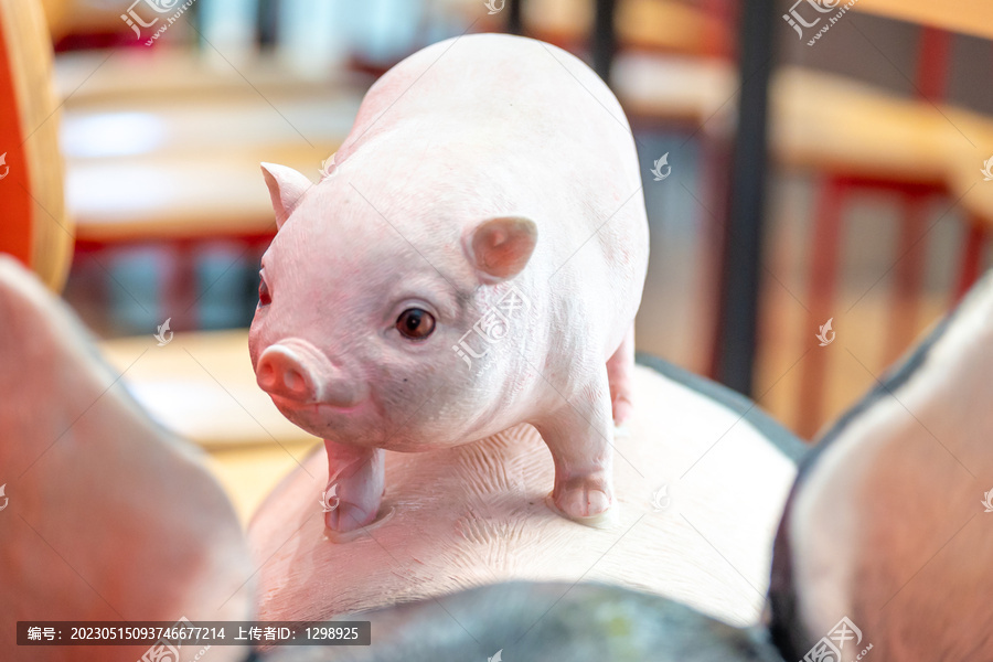 可爱小猪模型