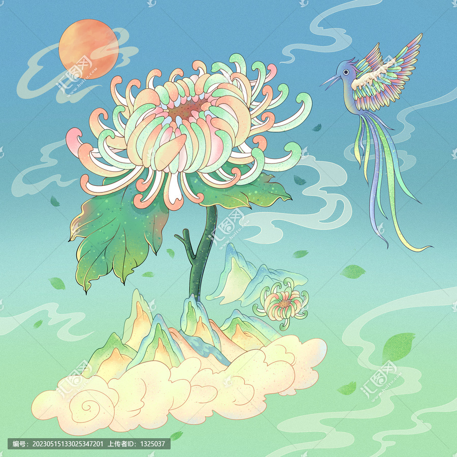 菊花插畫包裝