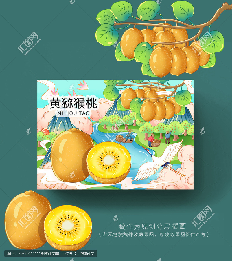 黃心獼猴桃插畫手繪