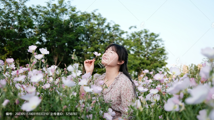 花丛里的女孩