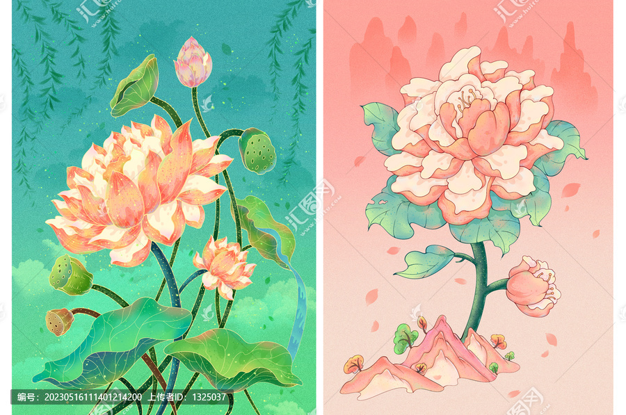 荷花玫瑰花合集插畫