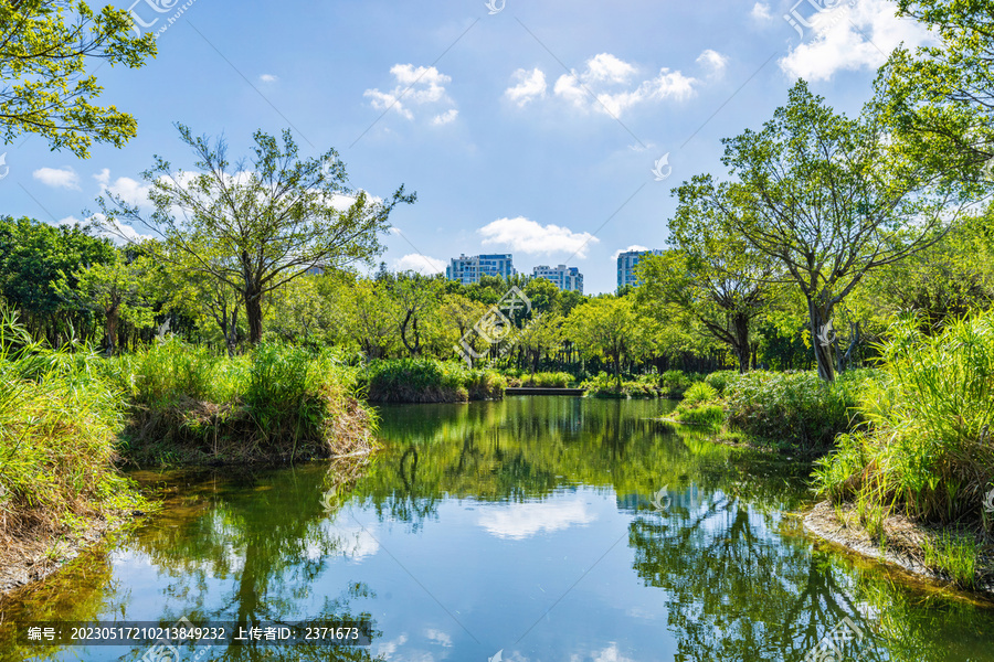 三亚市湿地公园城市住宅景观