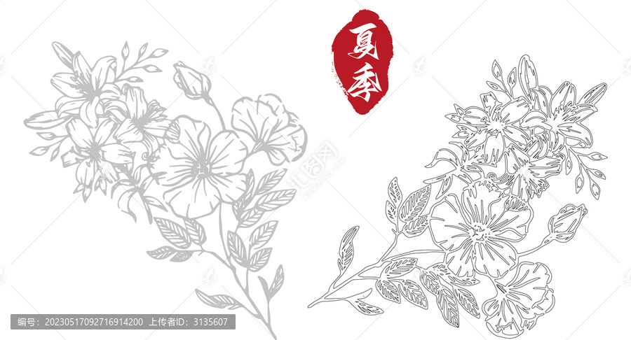 花花植物線稿