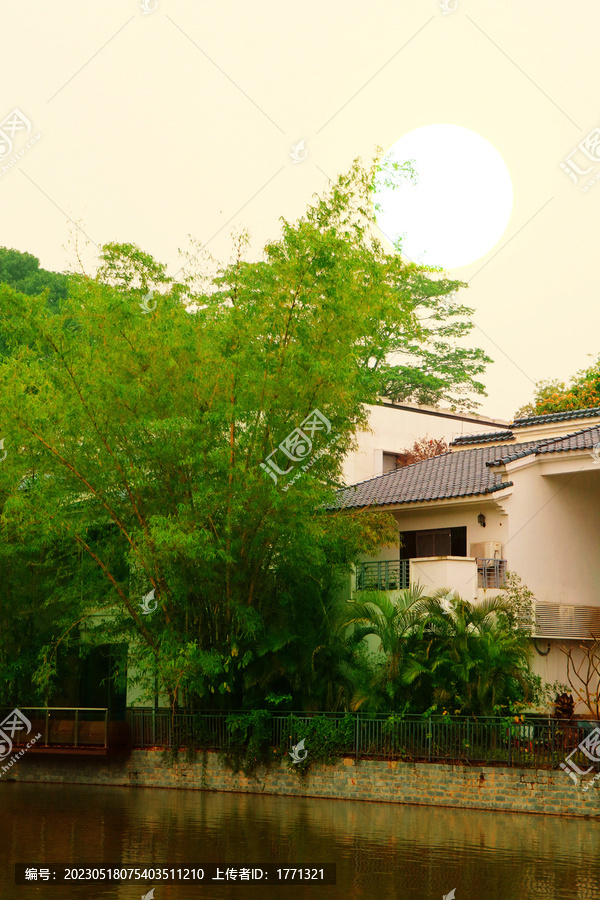 夕阳竹林小屋