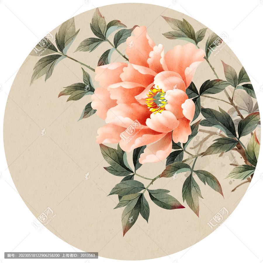 牡丹插畫