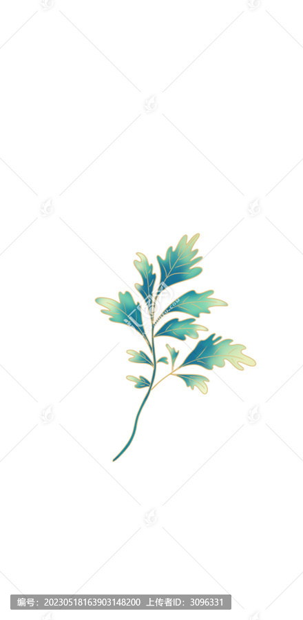 手繪插畫艾草