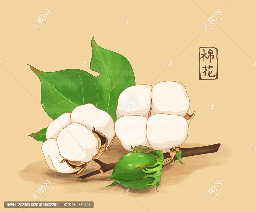 棉花