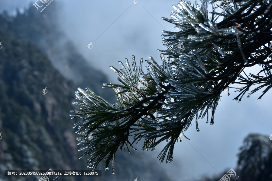 黄山旅游黄山风光黄山美景