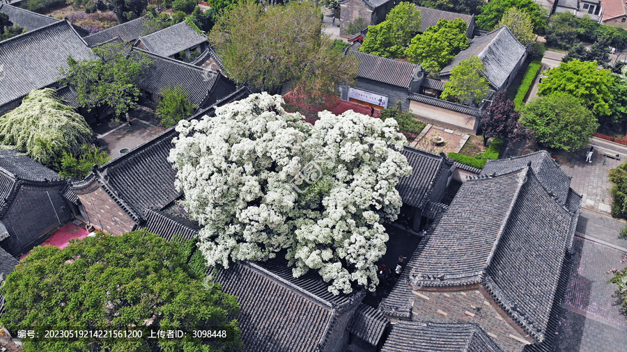 航拍邹城孟府流苏