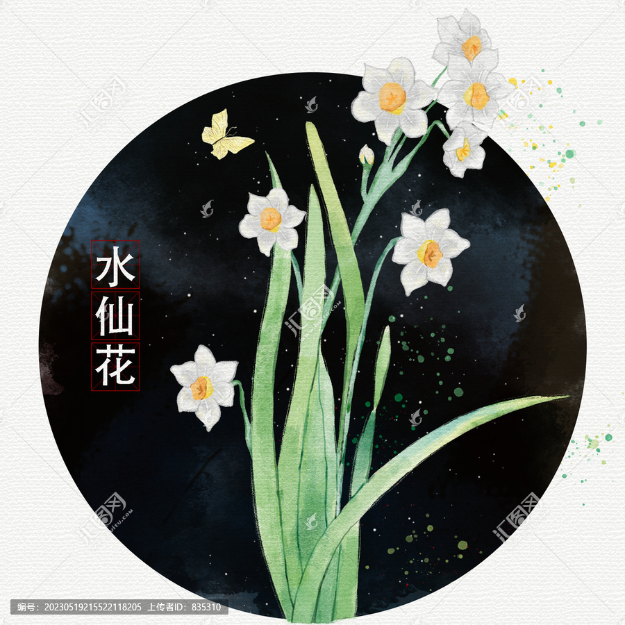 手繪水彩水仙花插畫
