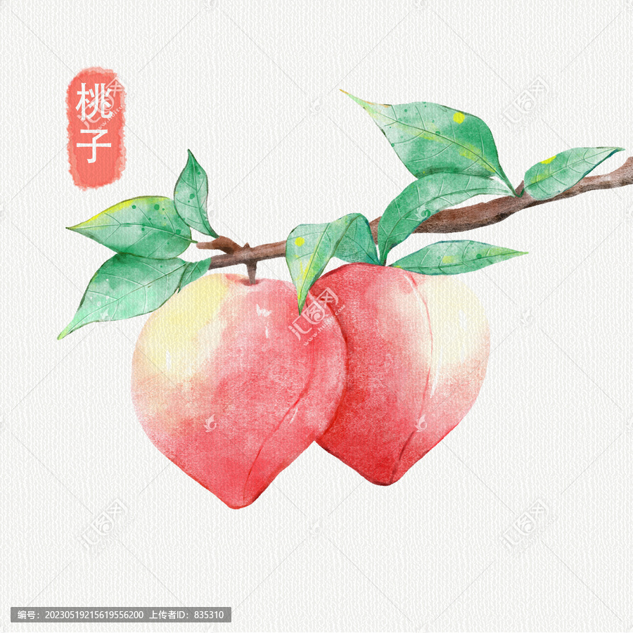 水彩手繪桃子水果插畫
