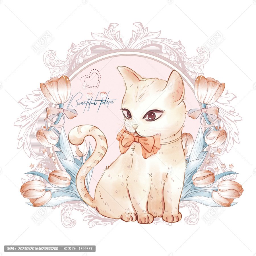 貓咪郁金香插畫