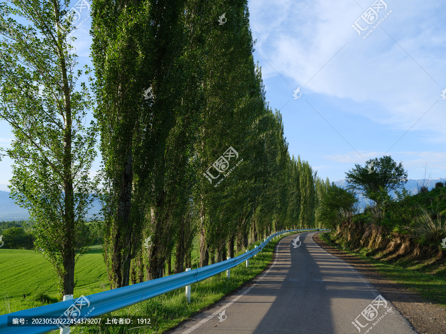 林蔭路
