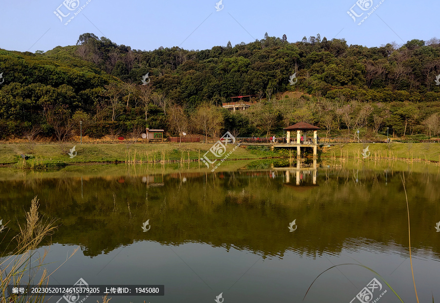 深圳罗田公园山水风光