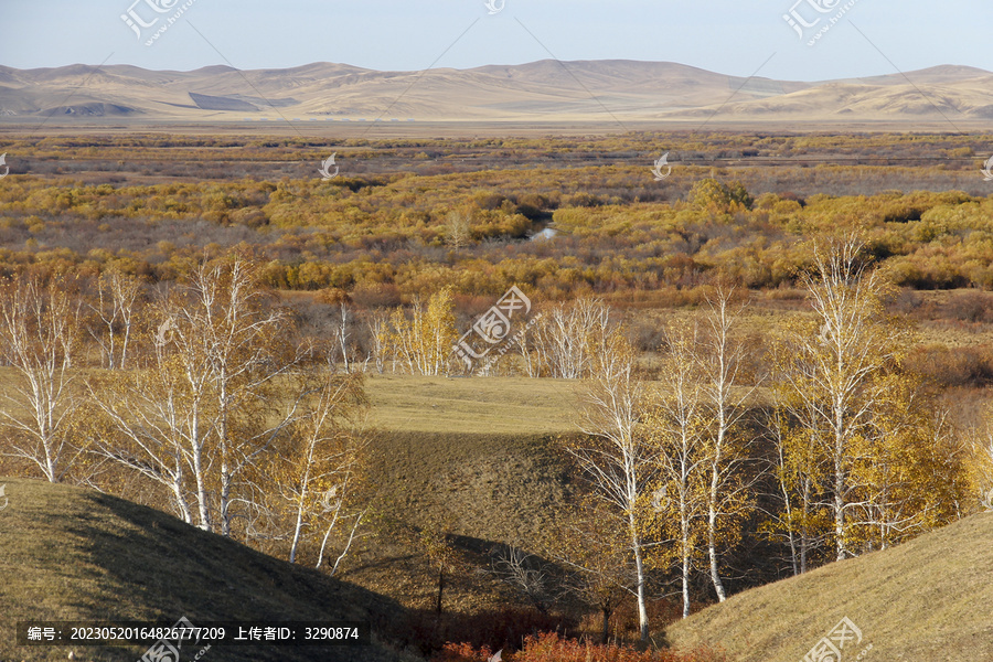 秋天内蒙古美丽的大草原