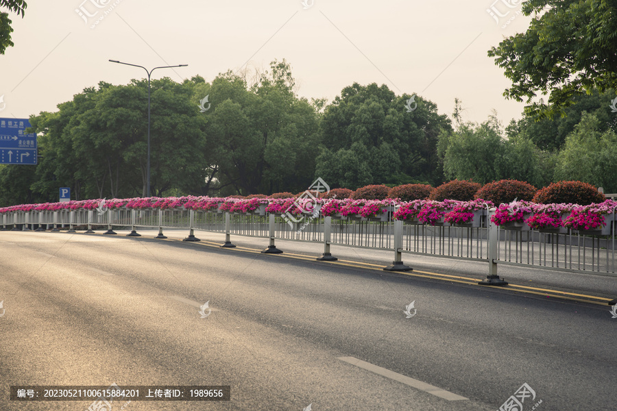 市政鲜花隔离带