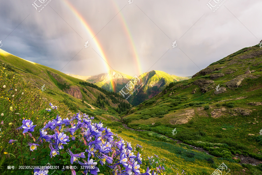 新疆伊犁山谷的彩虹和野花