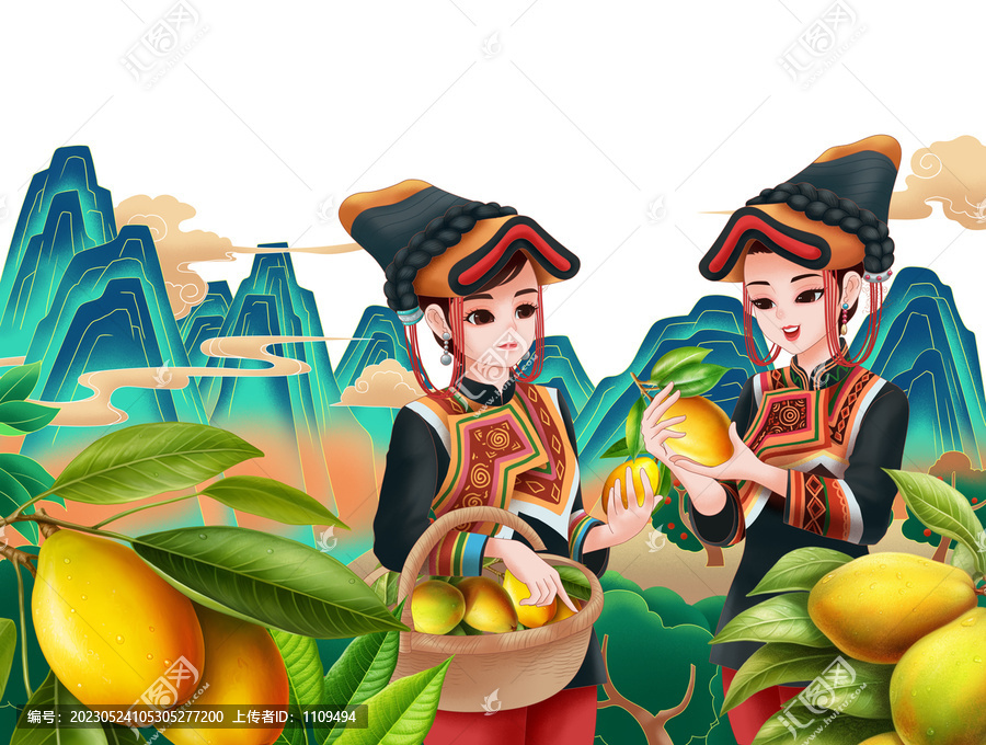 云南芒果包裝插畫