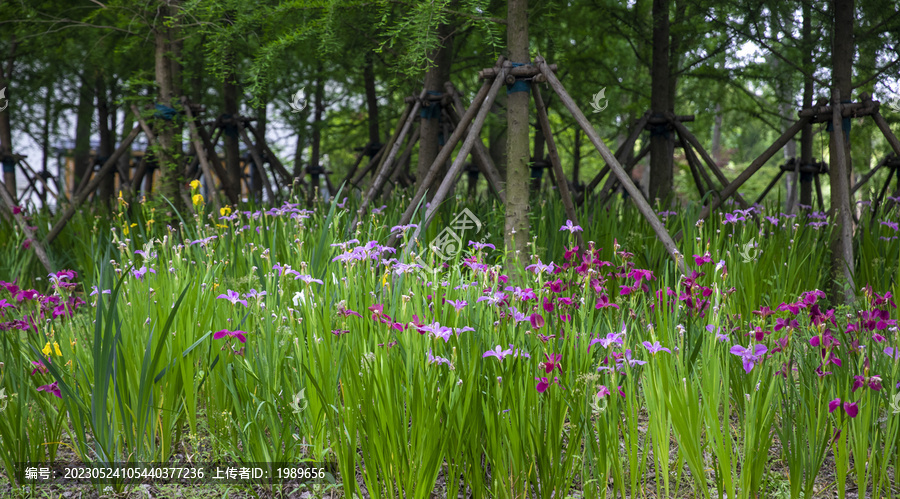 鲜花树林背景