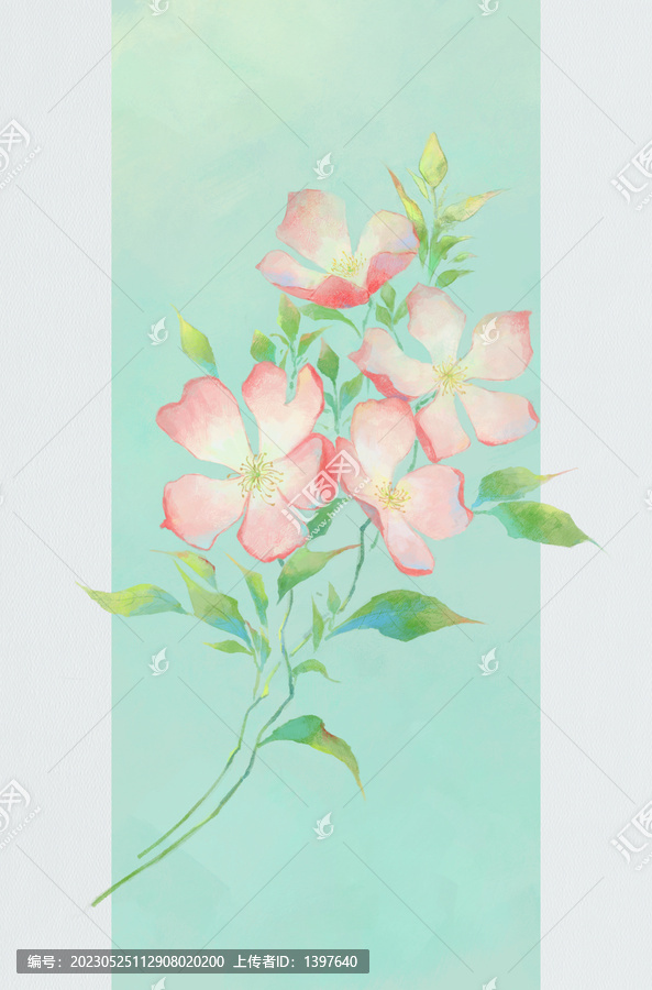 手繪薔薇花