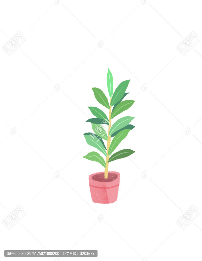 盆栽綠植插畫手繪元素素材