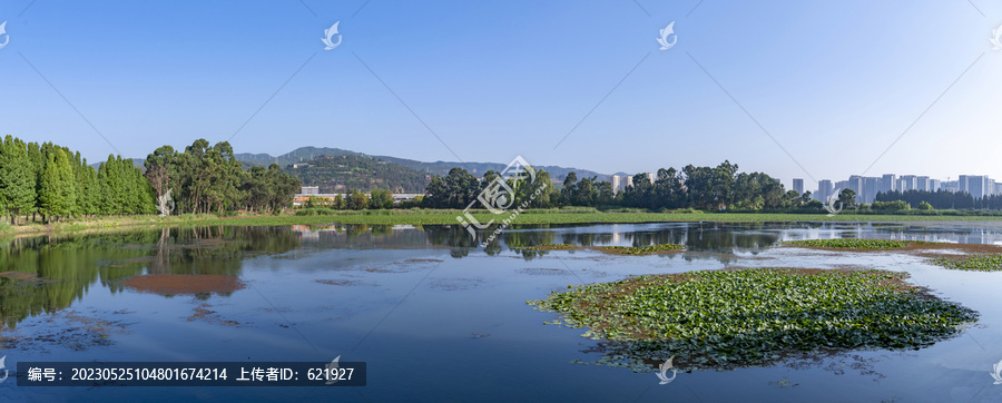 滇池草海全景图