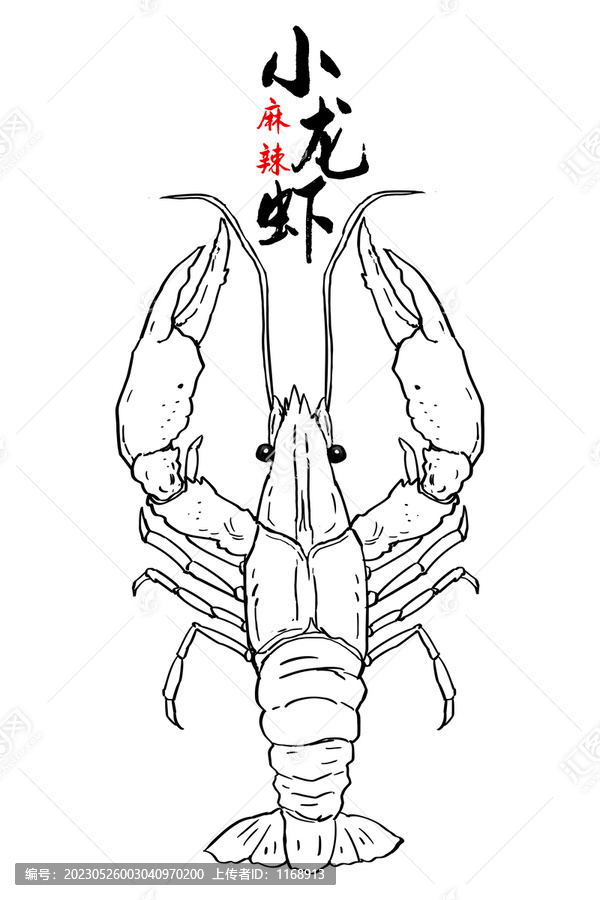 手繪小龍蝦線稿