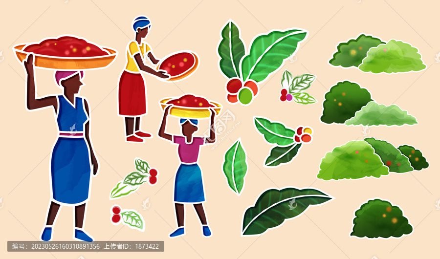 咖啡園素材集合,咖啡果植物與采收農(nóng)工
