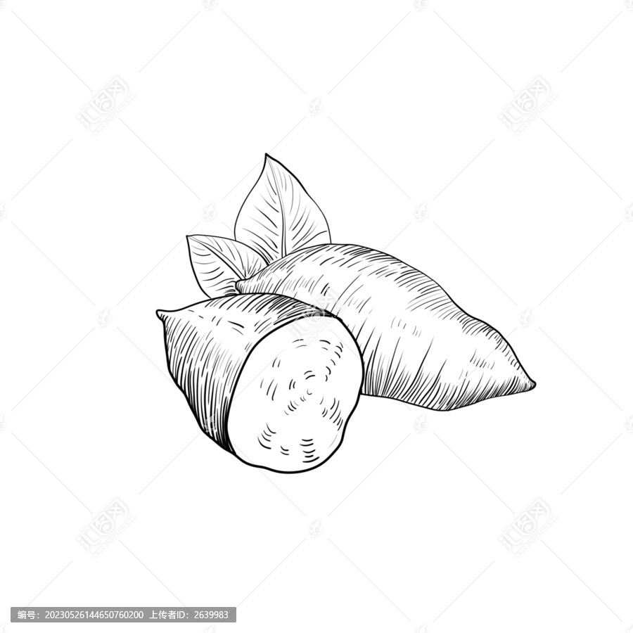 番薯黑白線稿