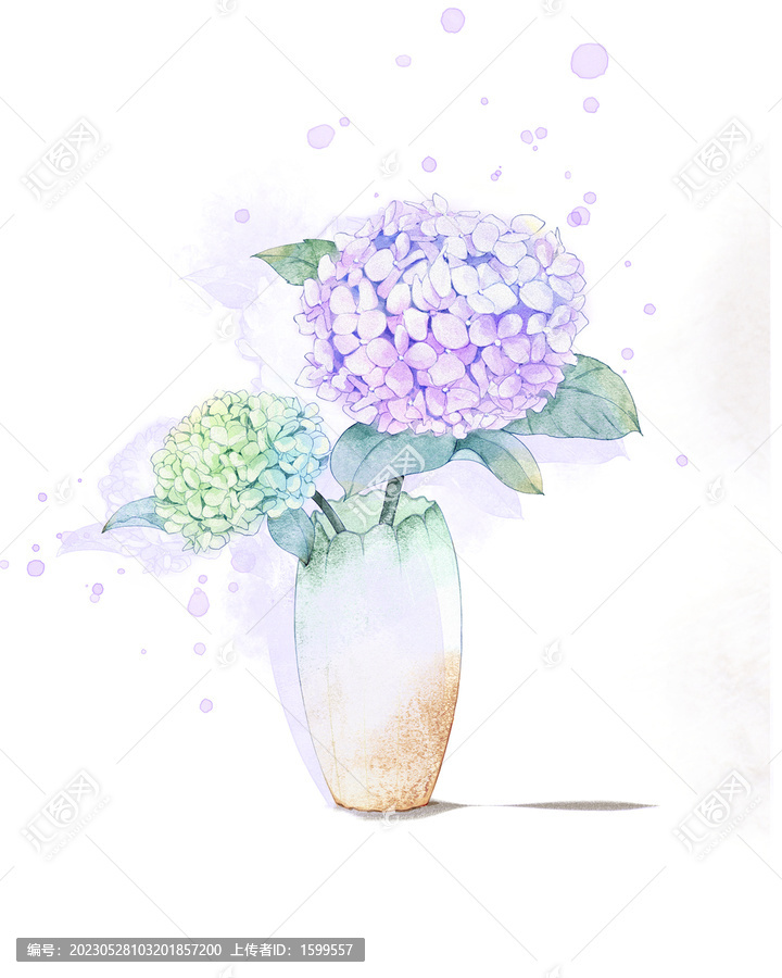 繡球花
