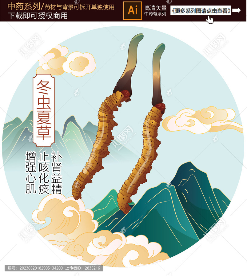 冬蟲夏草