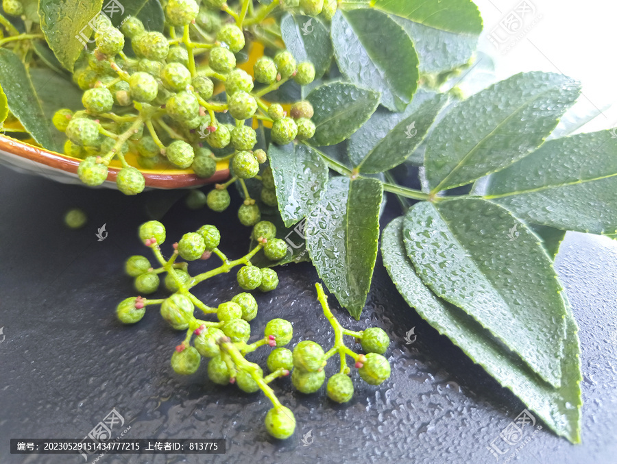 雨天青粒花椒