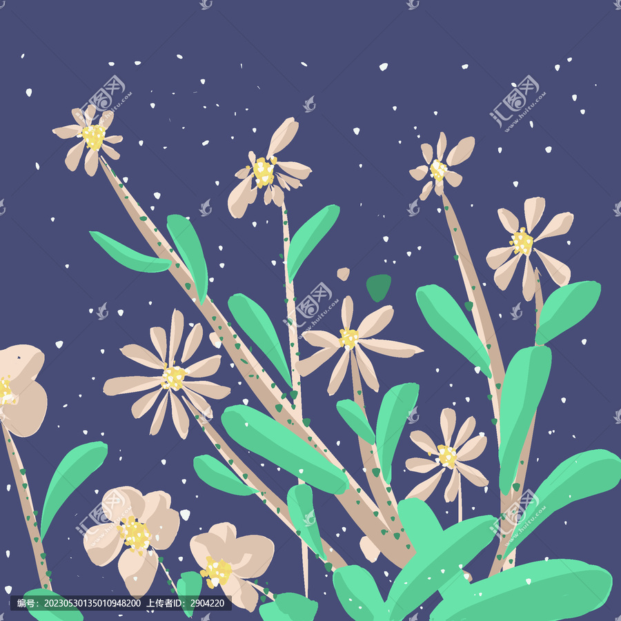 植物插畫