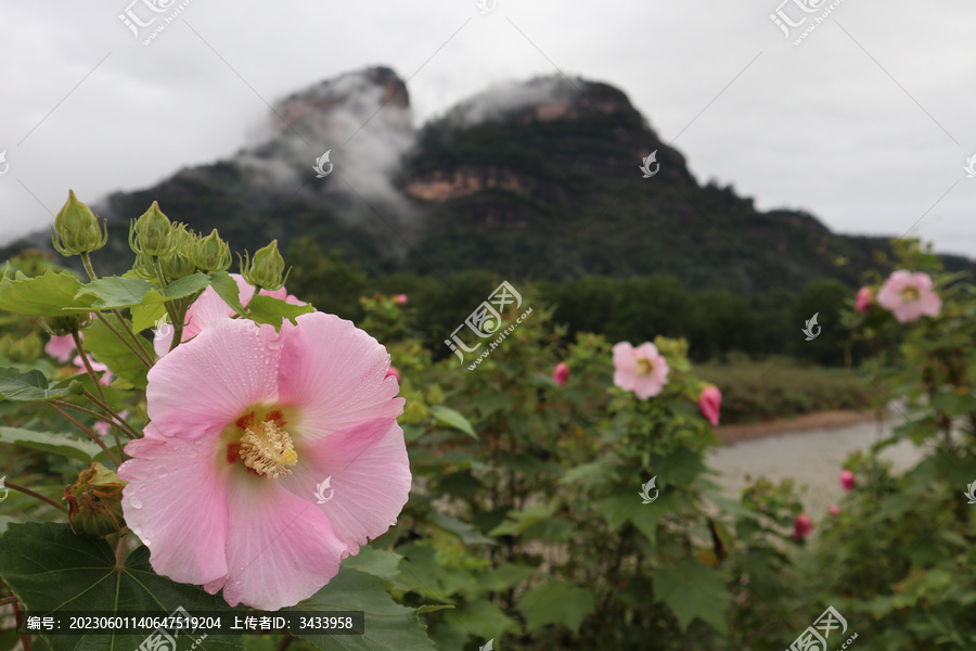 武夷山随拍