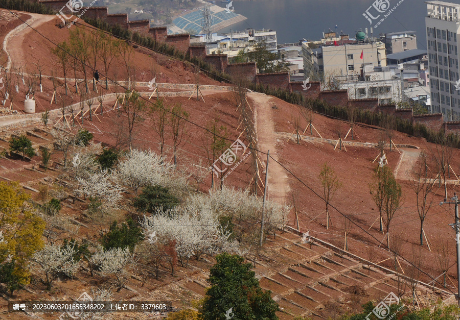 城区社会闲置地块