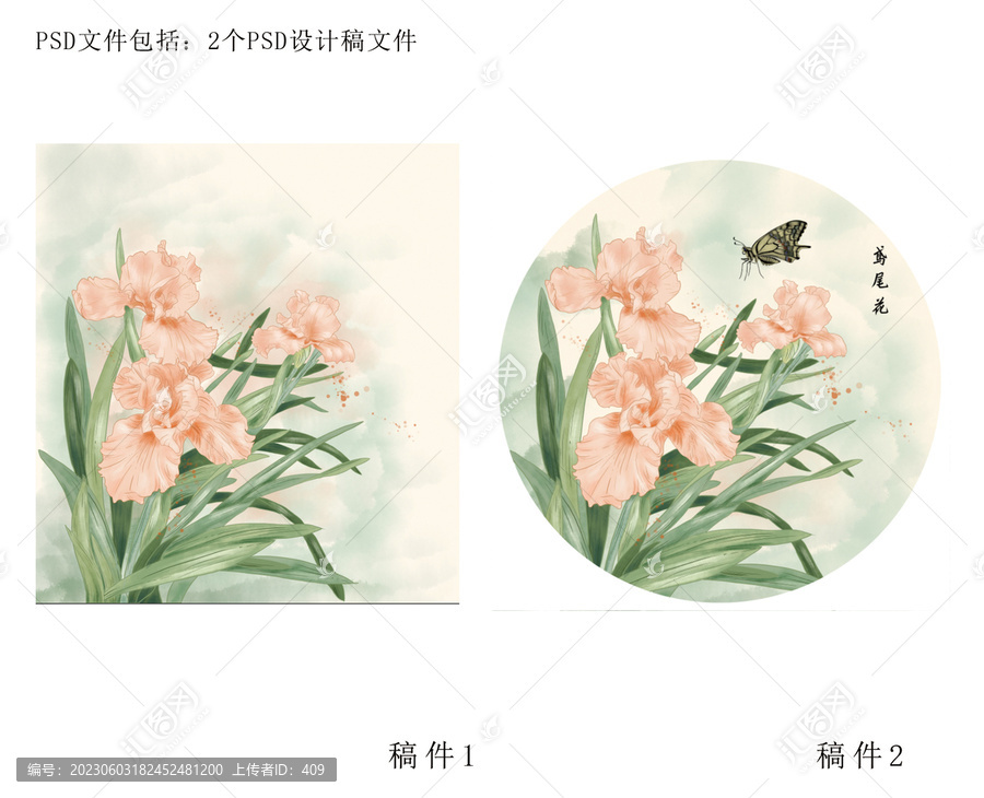 鳶尾花水彩插畫